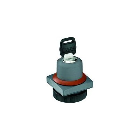 Rafi Switch Actuators Rafix 22 Fs+ Keylock Switch 2X90 1.30.255.451/0100